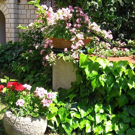 Guest House Caterina Porec Exterior photo